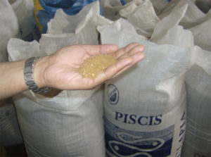 Innovación de Alimentos