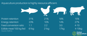 Global Aquaculture Alliance eat more seafood