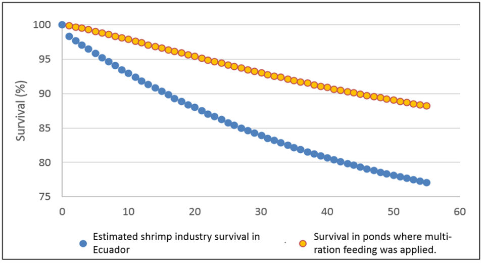 Fig. 2: Comparison of the estimated shrimp industry survival in Ecuador vs. ponds where multi-ration feeding was applied.