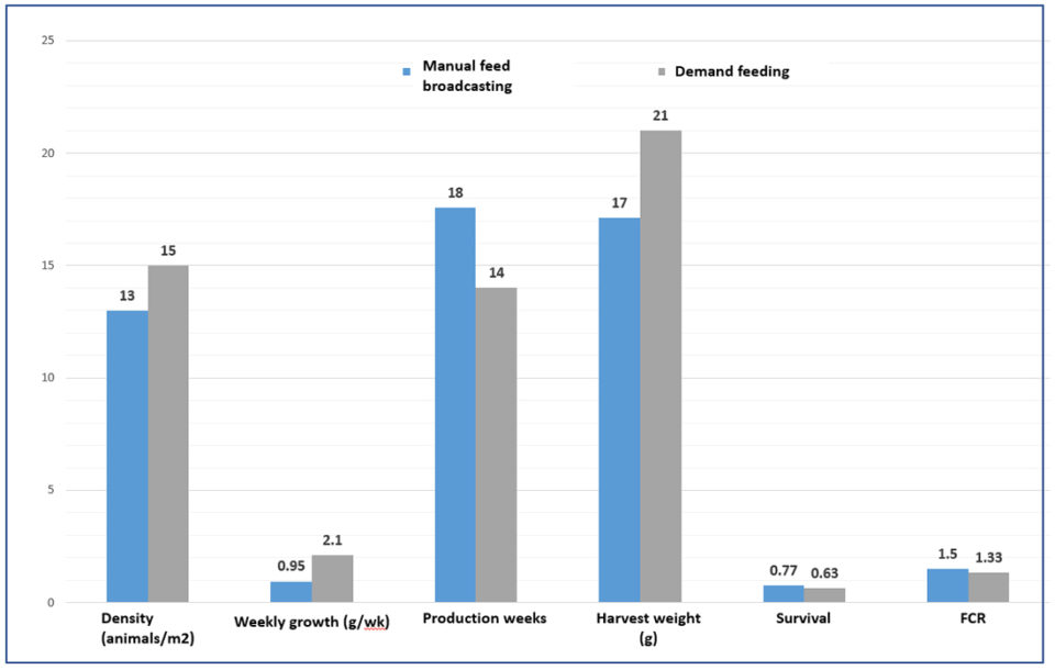 Fig. 3: Comparison of manual feeding versus the demand feeding for semi-intensive shrimp culture. The survival data shown in the graph must be multiplied by 100.