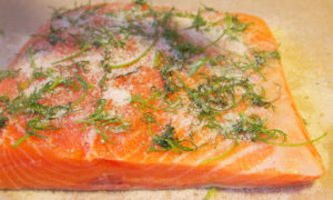 salmón con base en tierra