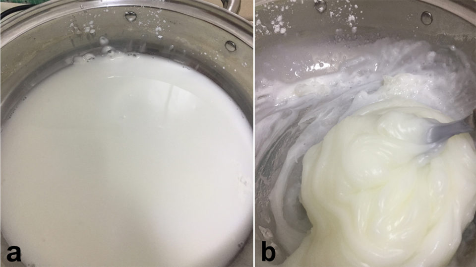 Fig. 3: Untreated corn starch added to water, which has low water solubility (a), but when heat is applied, the starch gelatinizes that absorbs water to become a gel (b) that greatly enhances water solubility.