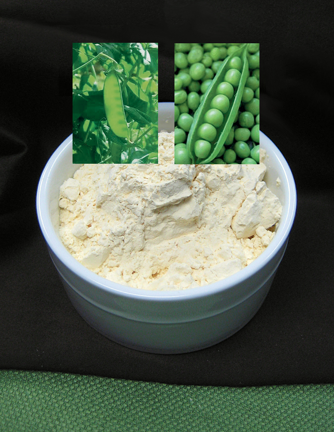 Article image for Pea products offer good nutrition, functional attributes in aquafeeds
