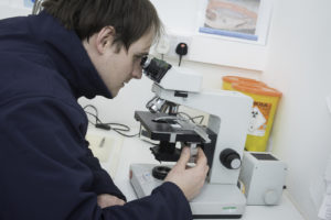 veterinario de peces