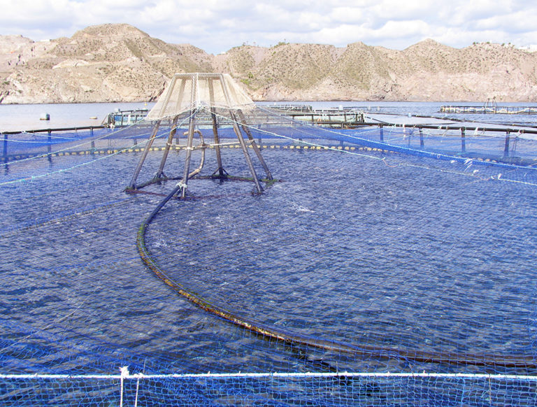 Article image for Operational risk management tool applied to offshore aquaculture