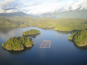 ocean-based salmon farming