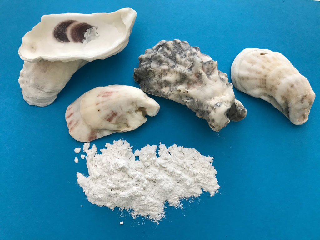 Article image for Can an oyster-shell paint help rethink artificial reefs?