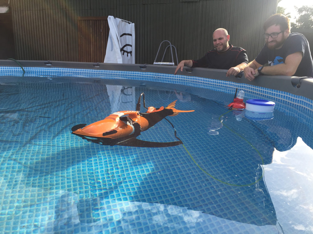 Article image for Fish farmers turn to drones for health, feed monitoring
