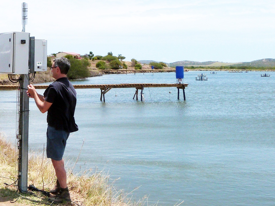 Article image for Acoustic control improves feeding productivity at shrimp farms