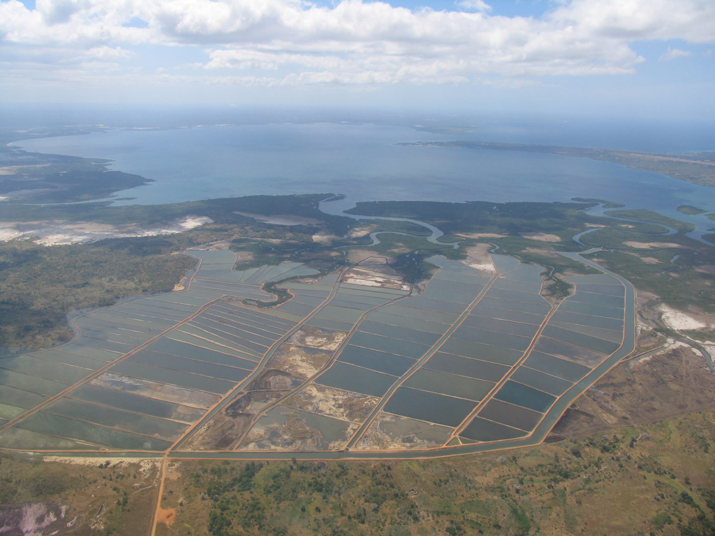 Pond Shellfish Estimating global shrimp pond area - Responsible Seafood Advocate