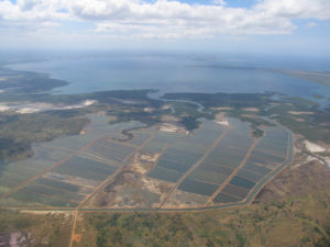 estanques de camarón