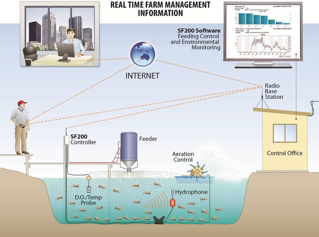Article image for Sistemas automatizados de alimentación en la producción en estanques de camarón blanco del Pacífico