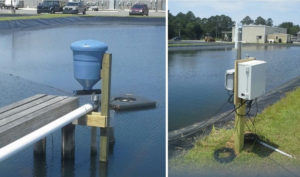 Automated feeding systems in pond production of Pacific white shrimp