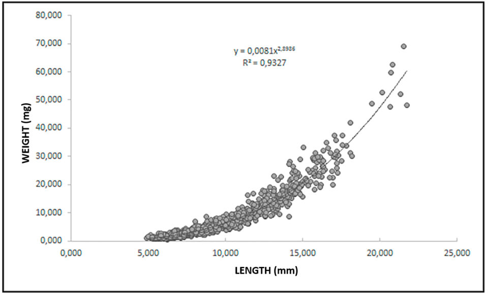 Fig. 6: Length vs. weight relationship obtained for L. vannamei postlarvae after 12 days of rearing in this study.