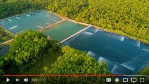 GAA and Where Does Seafood Come From?