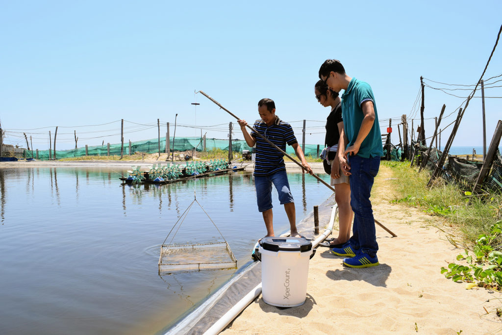 Article image for Un pez, dos peces: la tecnología de conteo genera fondos para la firma de ingeniería canadiense