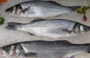 branzino