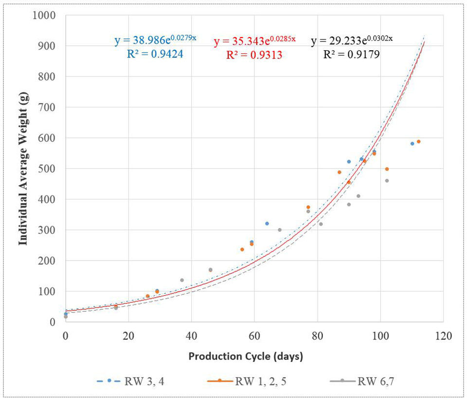 Fig. 2: Resultados de las curvas de crecimiento de tilapia para la demostración de la producción de IPRS en la granja Tilapia La Granja (Campeche, México).