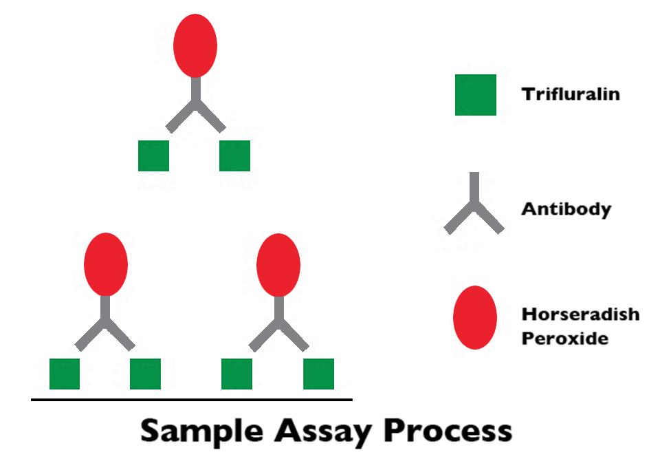 Article image for ELISA kits offer quantitative analysis of trifluralin in fish