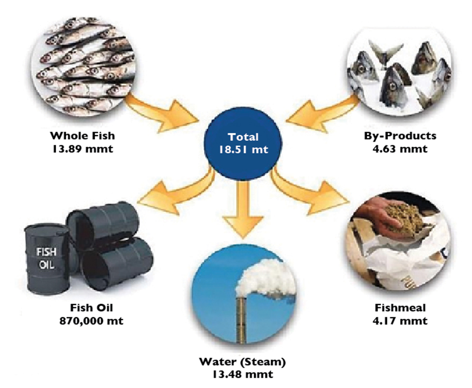 Article image for How much fish is consumed in aquaculture?