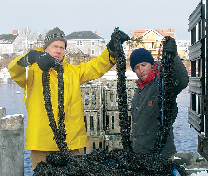 Article image for Offshore mussel culture