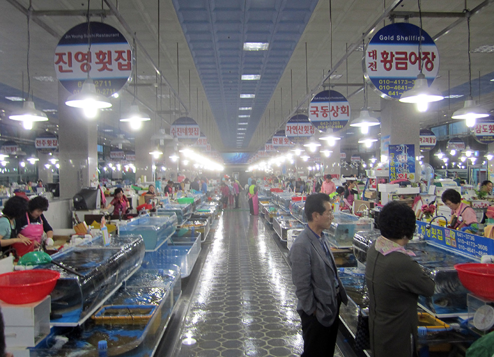 Why don’t we eat more seafood? - Responsible Seafood Advocate