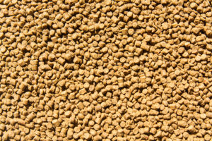 essential ingredients