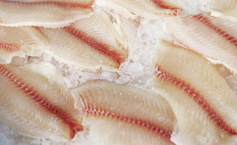 Article image for North American markets for fresh tilapia, part 3