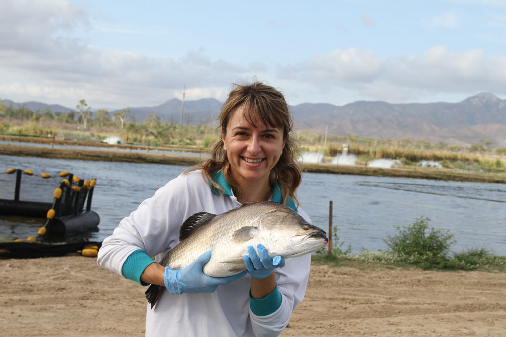 Article image for Predicting parasite outbreaks in fish farms through environmental DNA