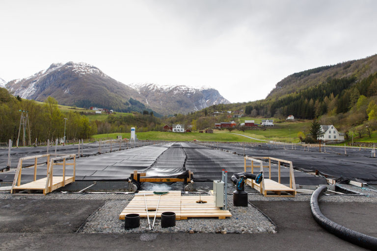 Article image for Norway showcases halibut farm as sustainability star