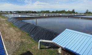 Brunei operation uses three-stage treatment ponds