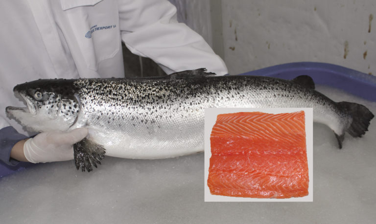 Article image for Salmon’s position among European consumers