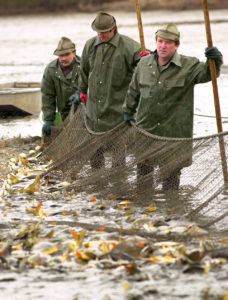 Czech fishermen