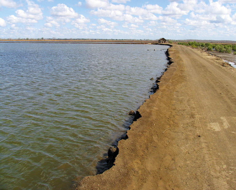 Article image for The Shrimp Book: Shrimp pond soil and water quality management