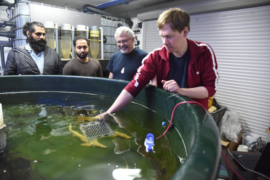 Article image for Can IoT tool help fish farmers sleep better at night?