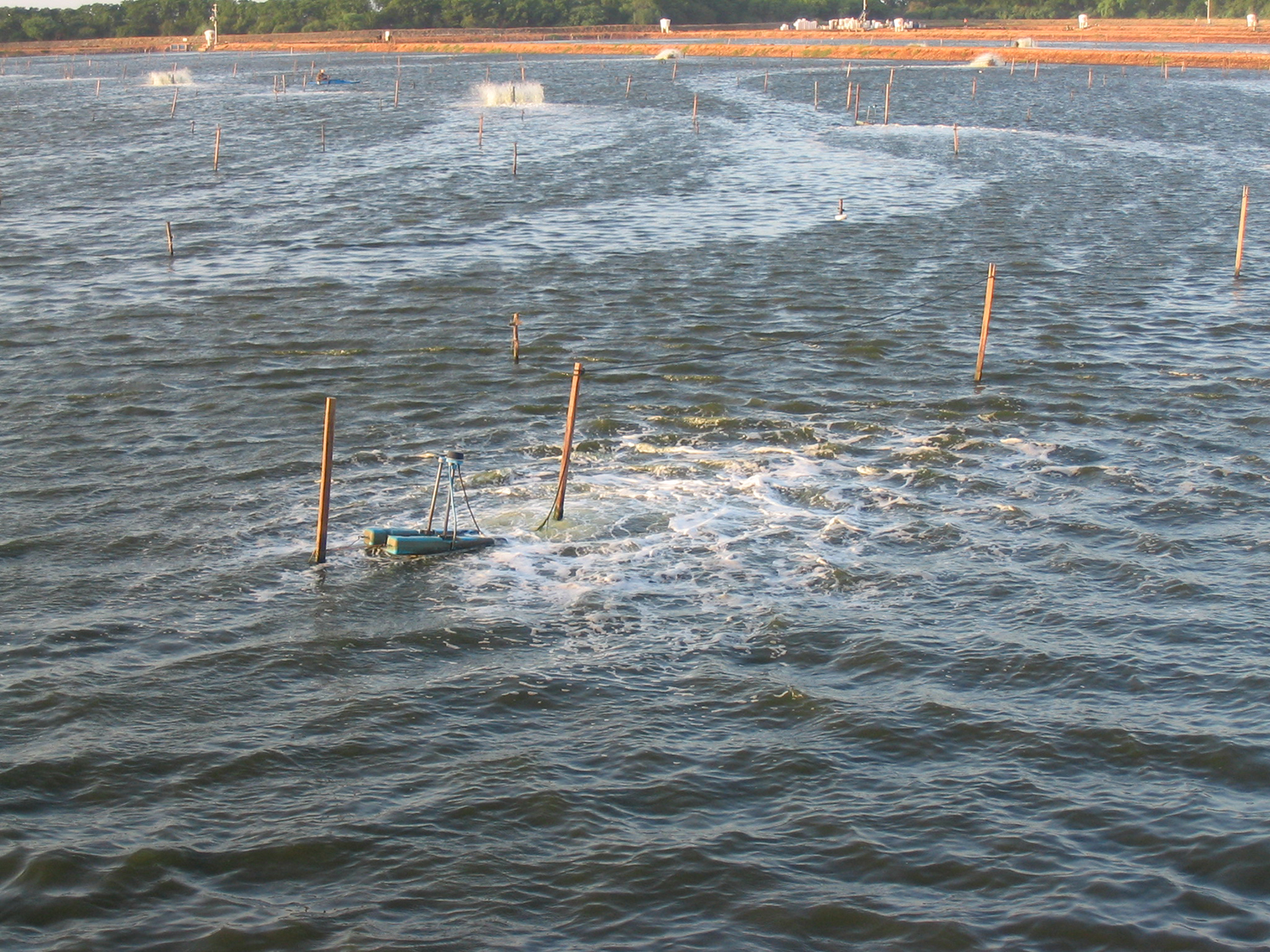 Dissolved oxygen dynamics - Responsible Seafood Advocate