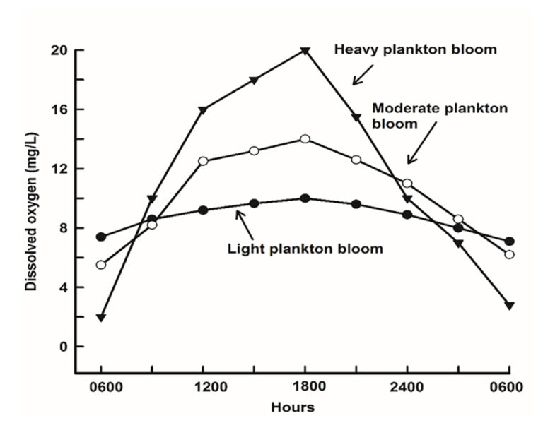 Dissolved oxygen dynamics Responsible Seafood Advocate