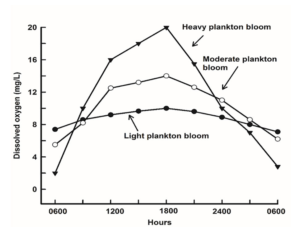 Fig. 1: Daily pattern of dissolved oxygen (DO) concentration in ponds with low, moderate, and high phytoplankton abundance.