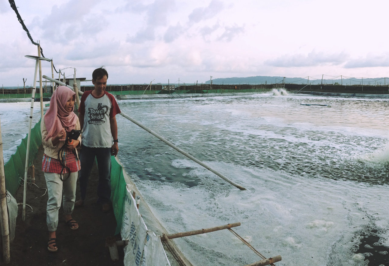 Aqua Insights excerpt Smart water quality sensors for aquaculture