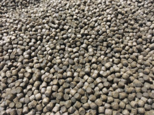 protein conversion efficiency