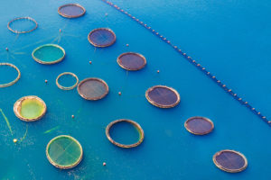 El cambio climático