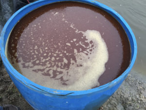 Enmiendas bacterianas