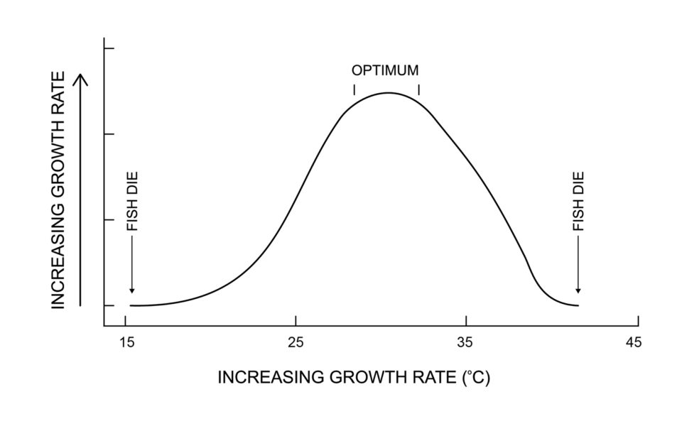 Water temperature in aquaculture Responsible Seafood Advocate