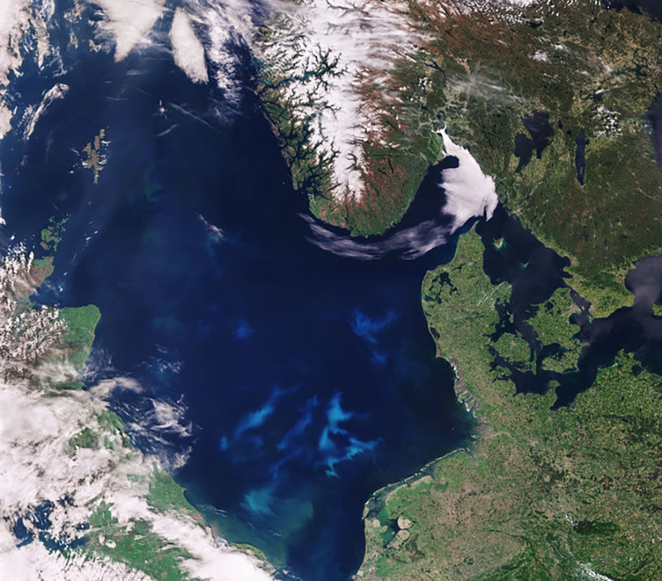 Article image for NOAA invests millions to take on harmful algal blooms