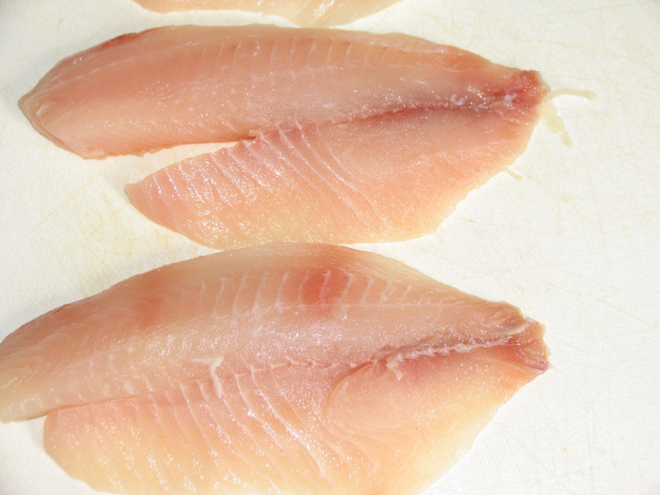Production of omega3 enriched tilapia through dietary algae meal or