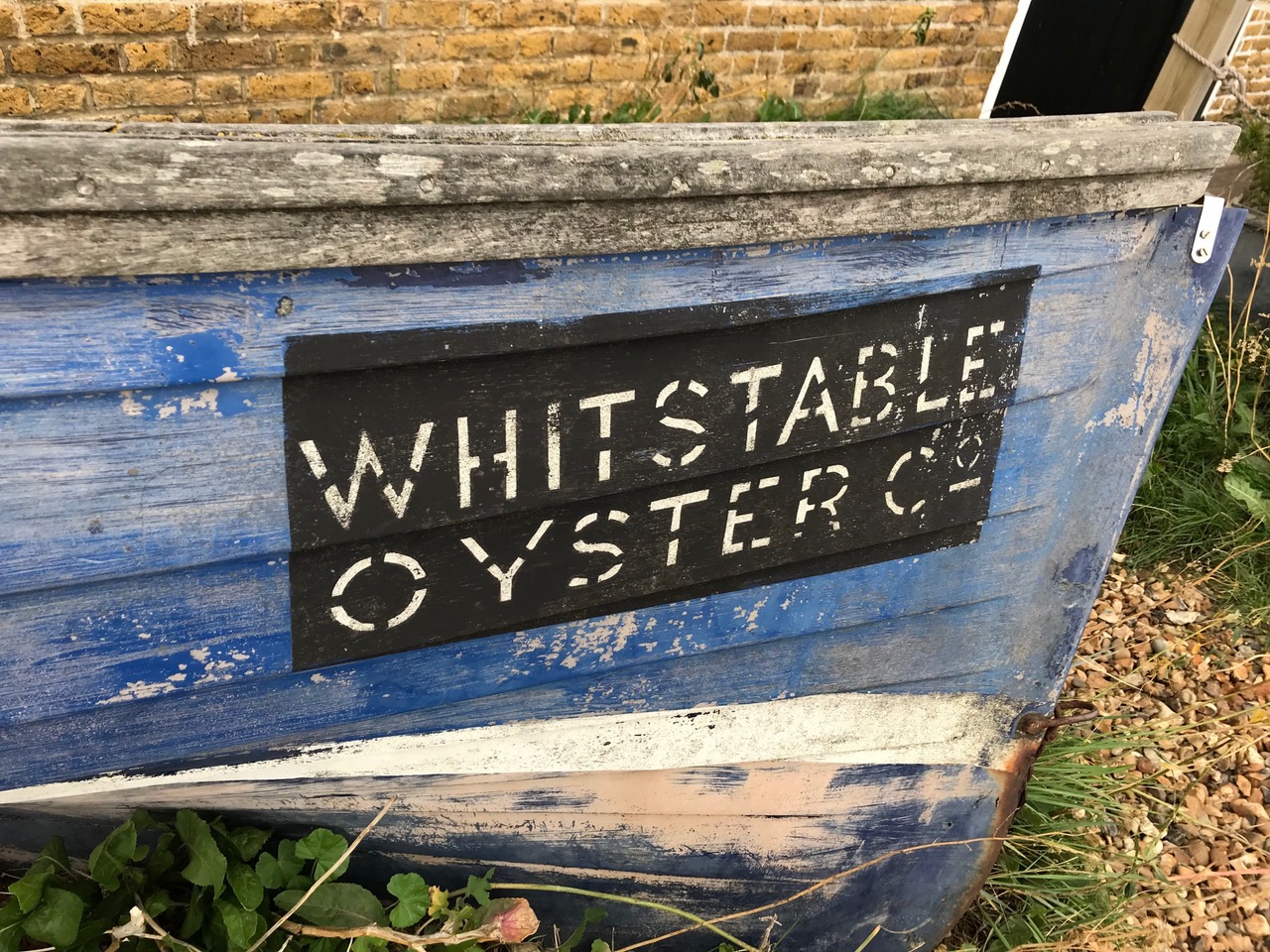 Whitstable Shellfish Aquaculture has put the oysters back in Oyster Town - Responsible ...
