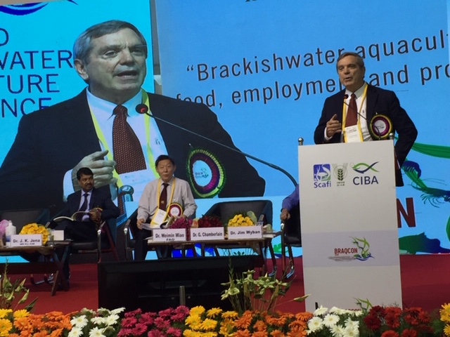 Featured image for Collaboration Needed to Address Shrimp Challenges, Says GAA’s Chamberlain at Braqcon 2019 in India