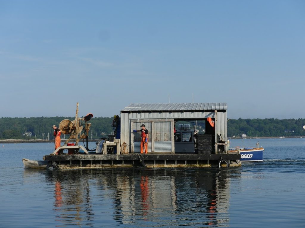 Article image for Can Americans’ perception of aquaculture change?