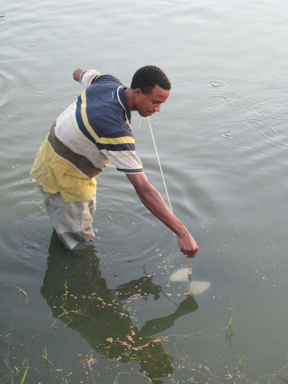 Thoughts on pond fertilization Responsible Seafood Advocate