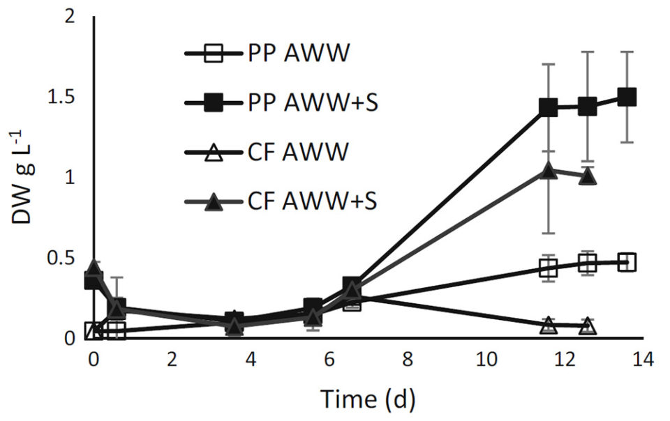 Fig. 1: Growth (DW g/L) (mean ± SD) of mixed cultures of E. gracilis with Selenastrum in pikeperch (PP) and catfish (CF) aquaculture wastewaters (AWWs) with and without sludge (S) (n = 3). PP AWW= (open square), PP AWW+ S (closed square), CF AWW= (open triangle), and CFAWW+ S = (closed triangle).